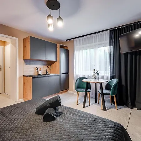 Loft House Apartment Studio Z Ogrodkiem 1 Rybnik  Exterior foto