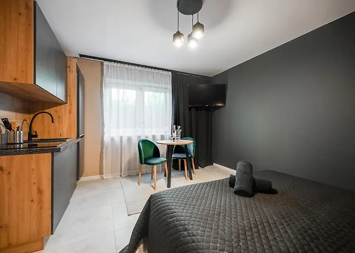 Loft House Apartment Studio Z Ogrodkiem 1