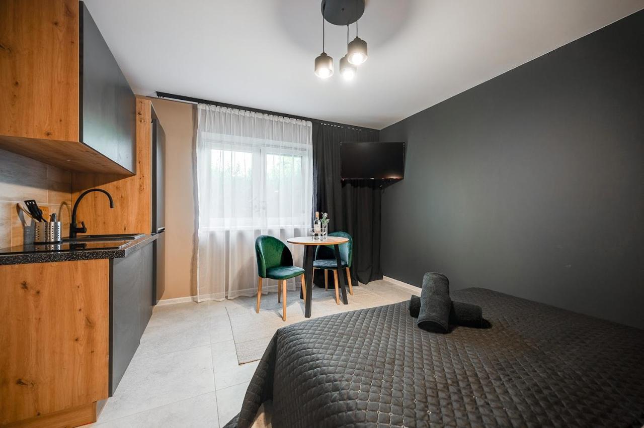 Apartment Loft House Z Ogrodkiem 1 Rybnik (Silesia)